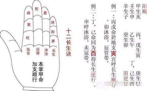 十二長生掌訣|【十二長生掌訣】掌握法術奇門遁甲！12長生掌訣速記秘法，一學。